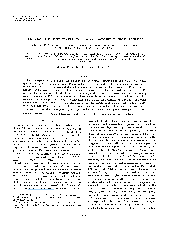 (PDF) EPN: A NOVEL EPITHELIAL CELL LINE DERIVED FROM HUMAN PROSTATE TISSUE