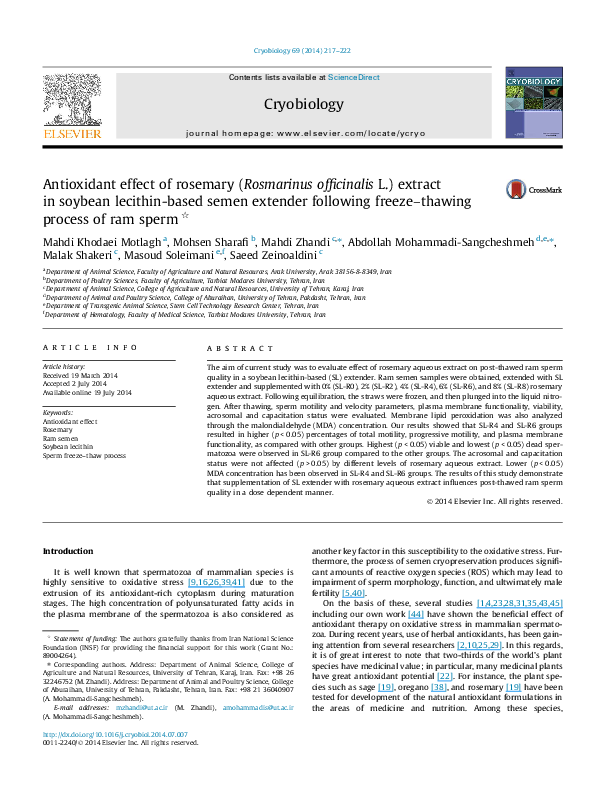 (PDF) Antioxidant effect of rosemary (Rosmarinus officinalis L
