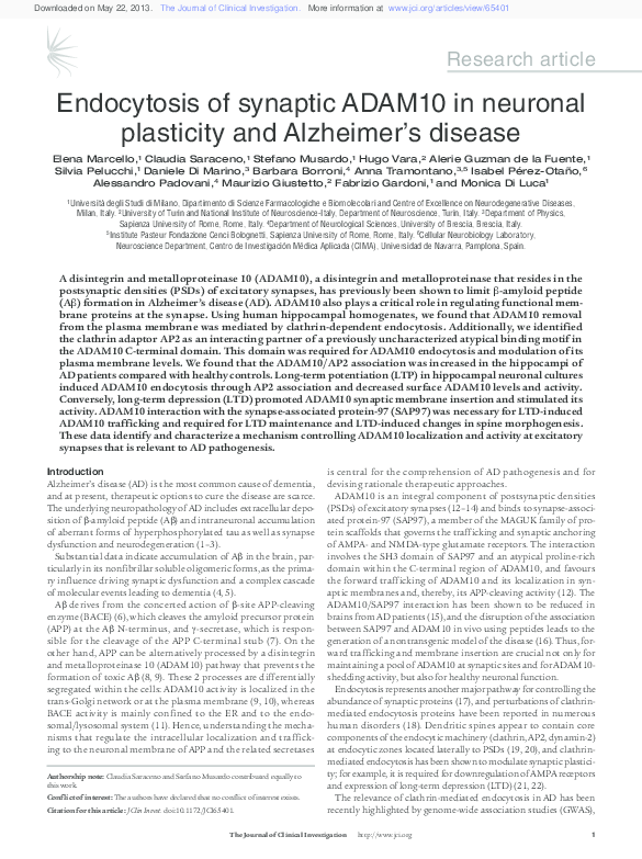 (PDF) Endocytosis of synaptic ADAM10 in neuronal plasticity and ...