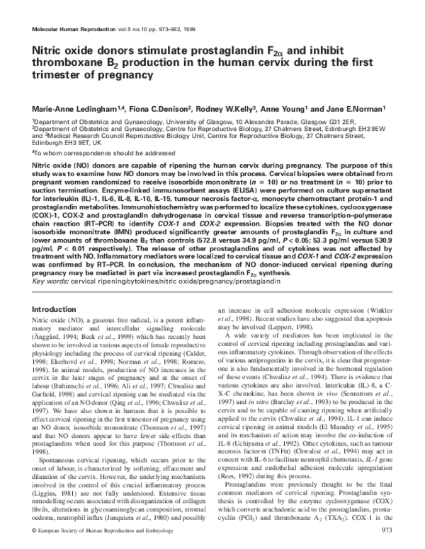 (PDF) Nitric oxide donors stimulate prostaglandin F2alpha and inhibit