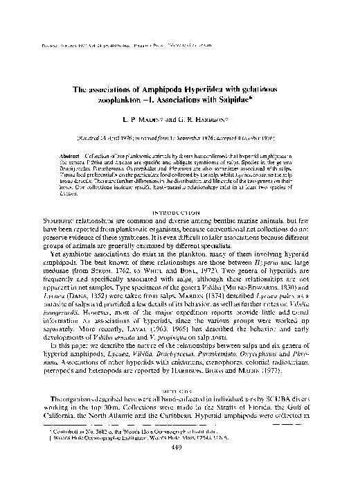 (PDF) The associations of Amphipoda Hyperiidea with gelatinous