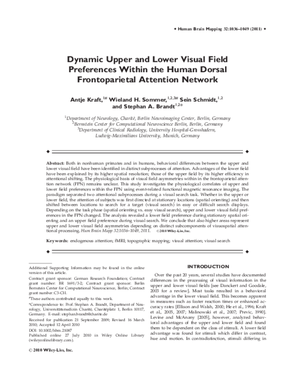 (PDF) Dynamic upper and lower visual field preferences within the human ...