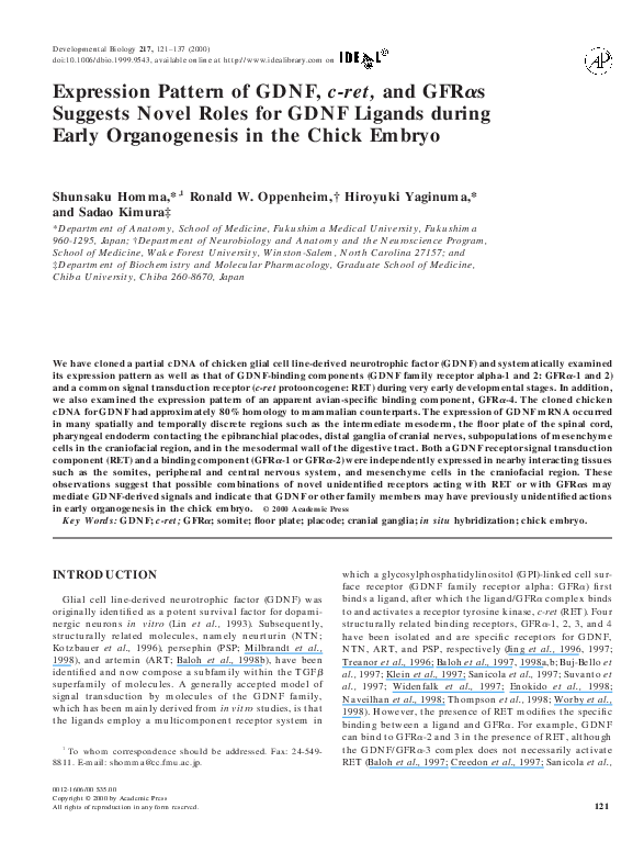 (PDF) Expression Pattern of GDNF, c-ret, and GFRαs Suggests Novel Roles ...