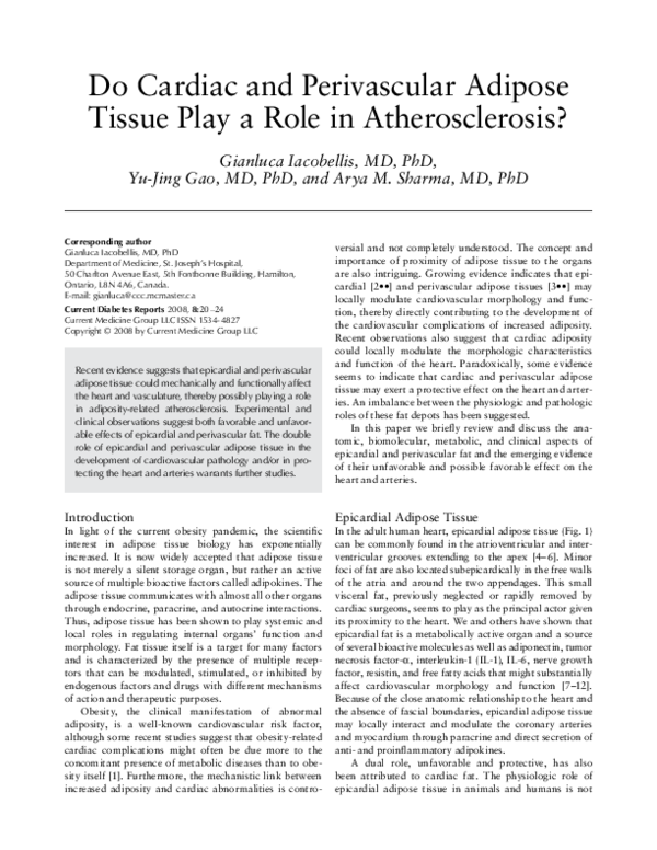 (PDF) Do cardiac and perivascular adipose tissue play a role in ...