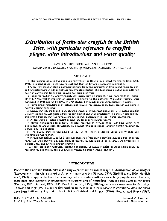 Crayfish for sale picture