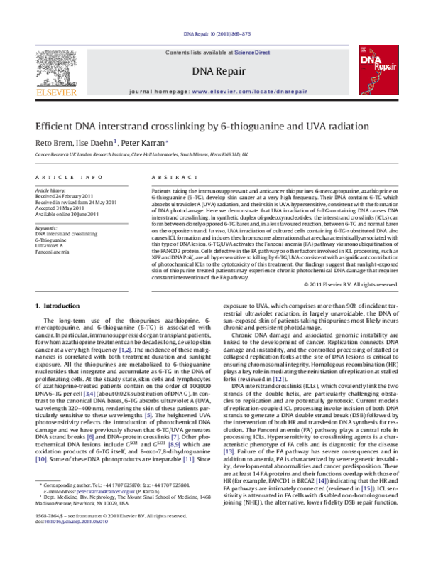 (PDF) Efficient DNA interstrand crosslinking by 6-thioguanine and UVA ...