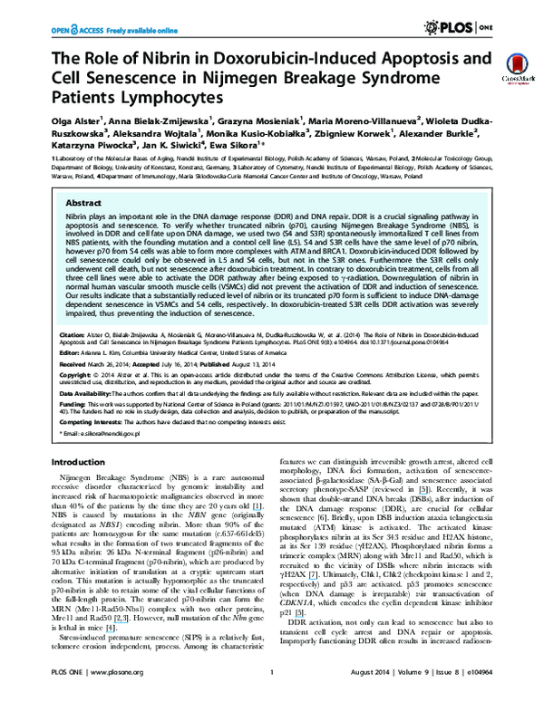 (PDF) The Role of Nibrin in Doxorubicin-Induced Apoptosis and Cell ...