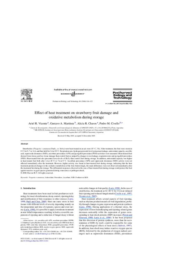 What is germination in biology image