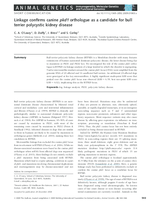 (PDF) Linkage confirms canine pkd1 orthologue as a candidate for bull