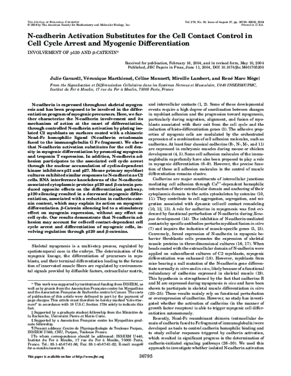 (PDF) N-cadherin Activation Substitutes for the Cell Contact Control in ...