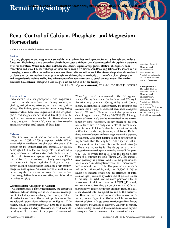 Calcium homeostasis positive feedback image