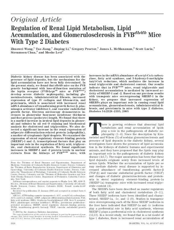 (PDF) Regulation of renal lipid metabolism, lipid accumulation, and ...