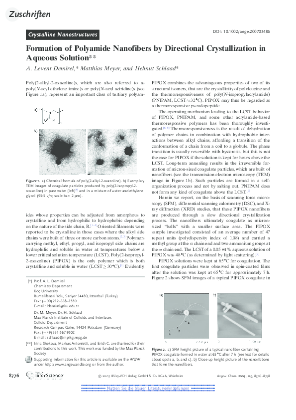 (PDF) Formation of Polyamide Nanofibers by Directional Crystallization ...