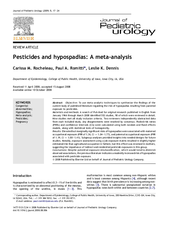 Hypospadia health essay 02 picture