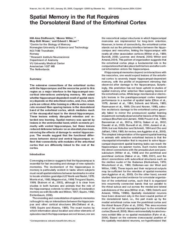(PDF) Spatial Memory In the Rat Requires the Dorsolateral Band of the ...