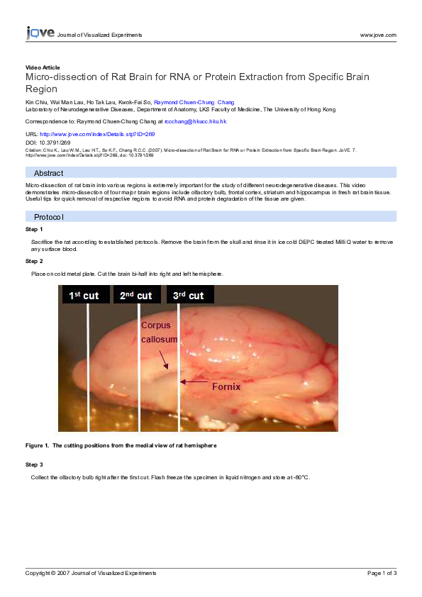 (PDF) Micro-dissection of rat brain for RNA or protein extraction from ...