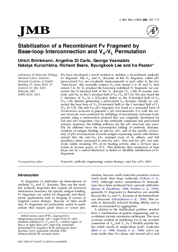 (PDF) Stabilization of a recombinant Fv fragment bybase-loop ...