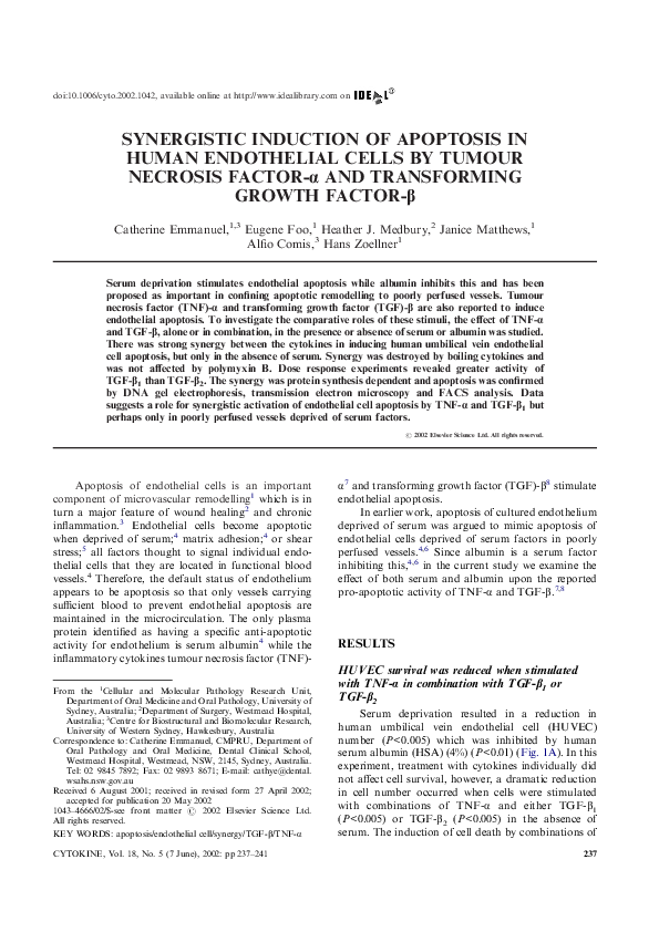 (PDF) SYNERGISTIC INDUCTION OF APOPTOSIS IN HUMAN ENDOTHELIAL CELLS BY ...