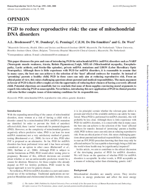 Mito case study essay 08 image