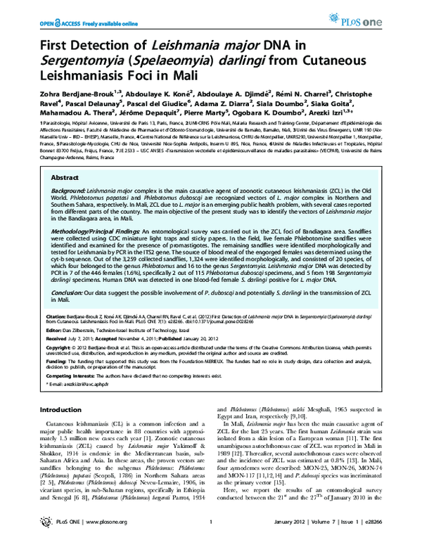 (PDF) First Detection of Leishmania major DNA in Sergentomyia ...