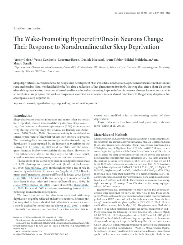 (PDF) The Wake-Promoting Hypocretin/Orexin Neurons Change Their ...