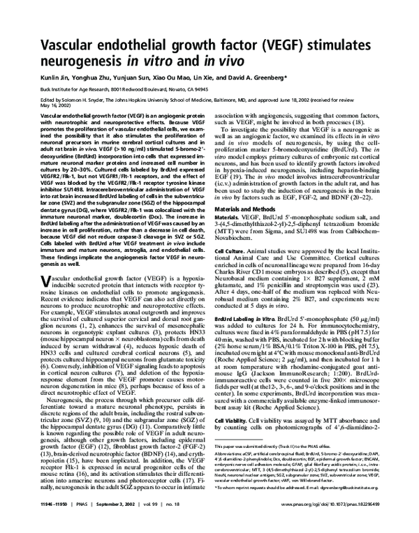 (PDF) Vascular endothelial growth factor (VEGF) stimulates neurogenesis ...