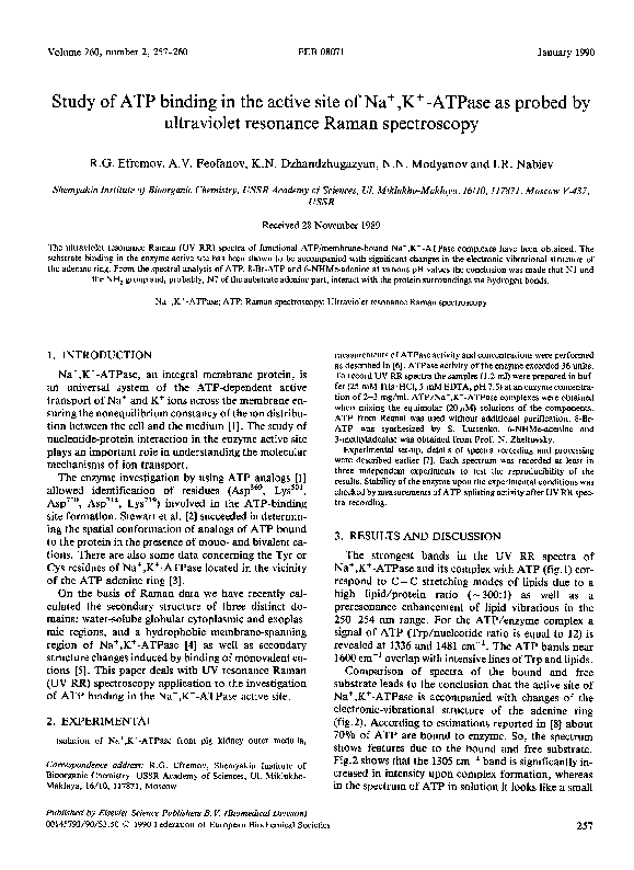 (PDF) Study of ATP binding in the active site of Na+,K+-ATPase as ...