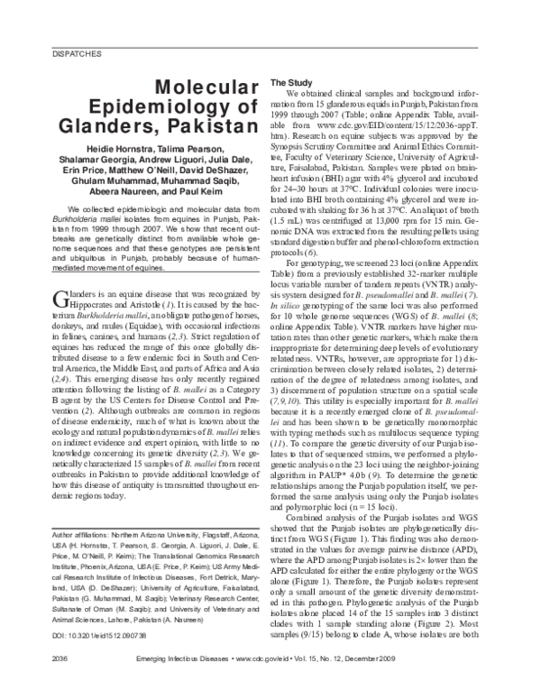 Glanders symptoms picture