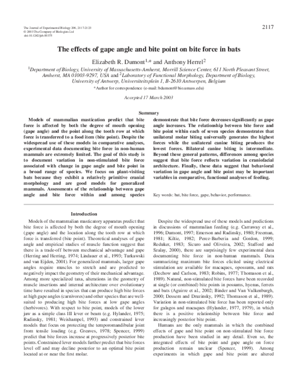 (PDF) Morphological and mechanical determinants of bite force in bats
