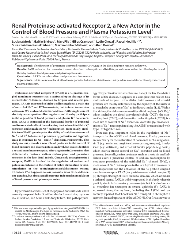 (PDF) Renal Proteinase-activated Receptor 2, a New Actor in the Control ...