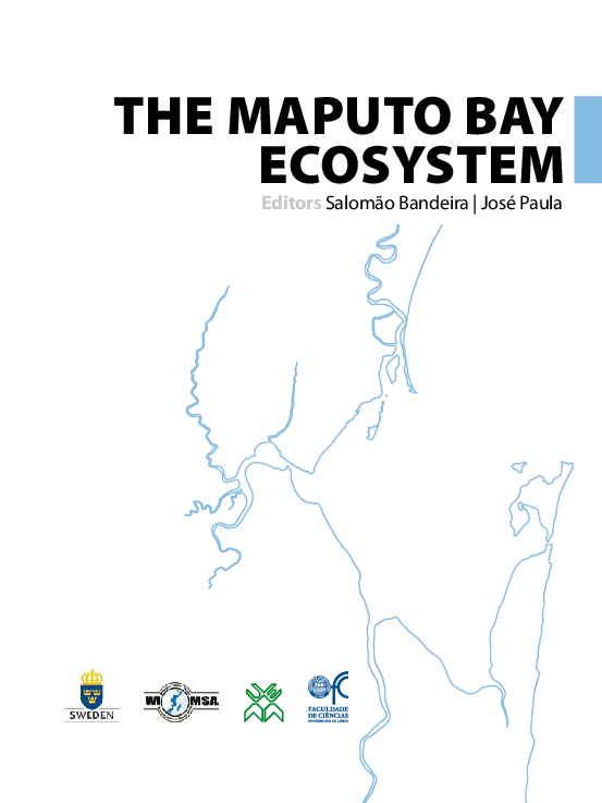 (PDF) Management of Maputo Bay