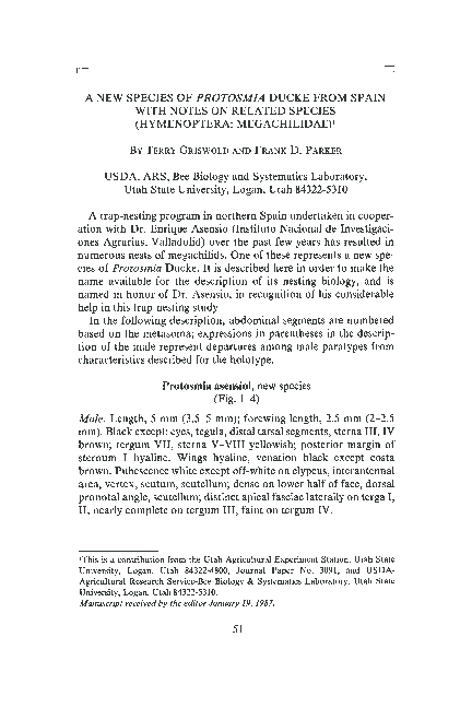 (PDF) A New Species of Protosmia Ducke From Spain With Notes on Related ...
