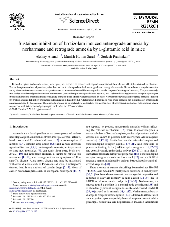 Amnesia google scholar image