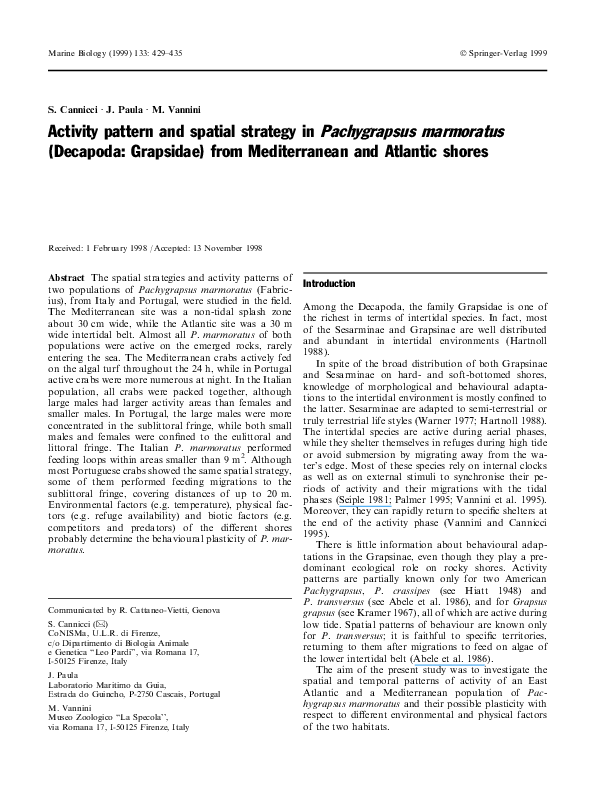 Why are decapods important picture