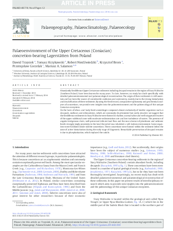 Concretions essay 07 image