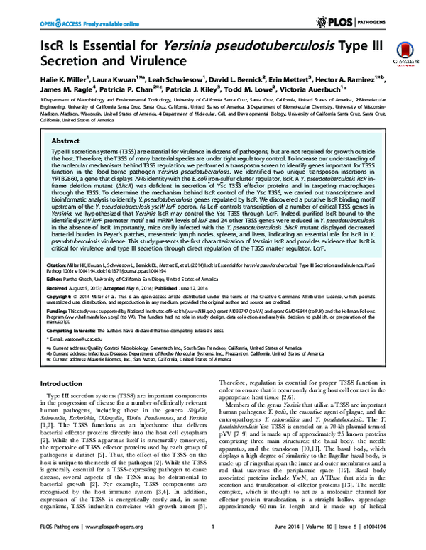 (PDF) IscR Is Essential for Yersinia pseudotuberculosis Type III ...