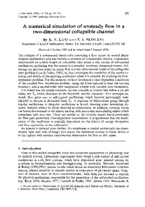 (PDF) A numerical simulation of unsteady flow in a two-dimensional ...
