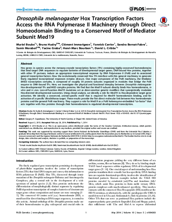 (PDF) Drosophila melanogaster Hox Transcription Factors Access the RNA ...