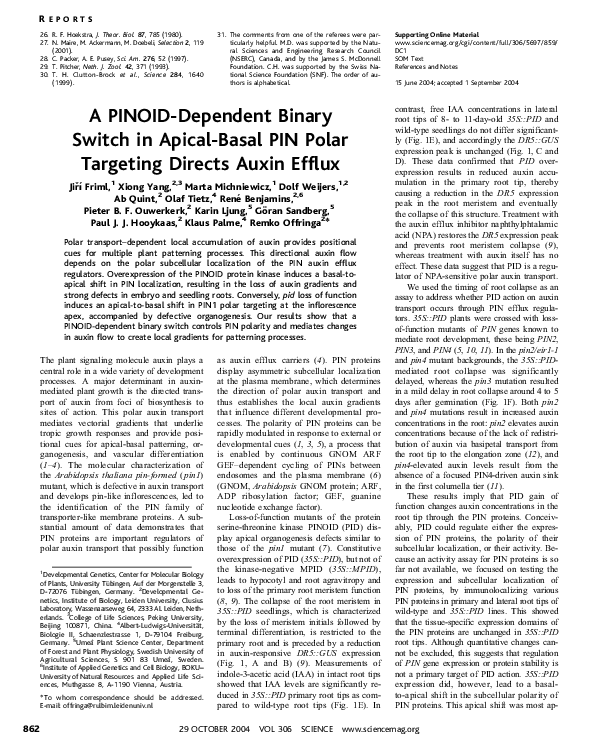 (PDF) A PINOID-Dependent Binary Switch in Apical-Basal PIN Polar ...