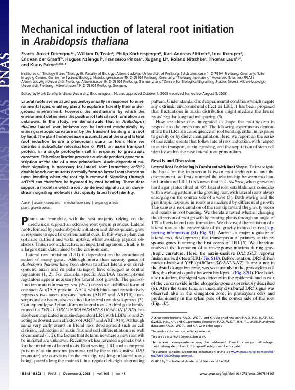(PDF) Mechanical induction of lateral root initiation in Arabidopsis ...