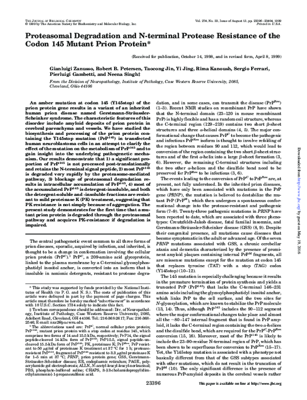 (PDF) Proteasomal Degradation and N-terminal Protease Resistance of the ...