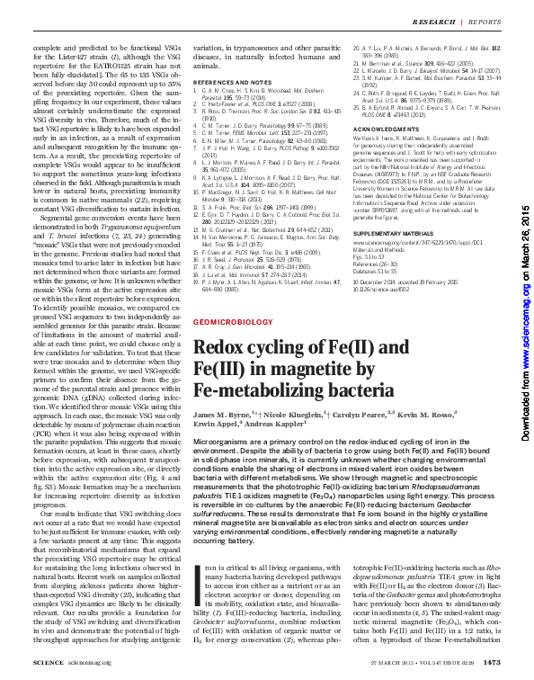 (PDF) Redox cycling of Fe(II) and Fe(III) in magnetite by Fe ...