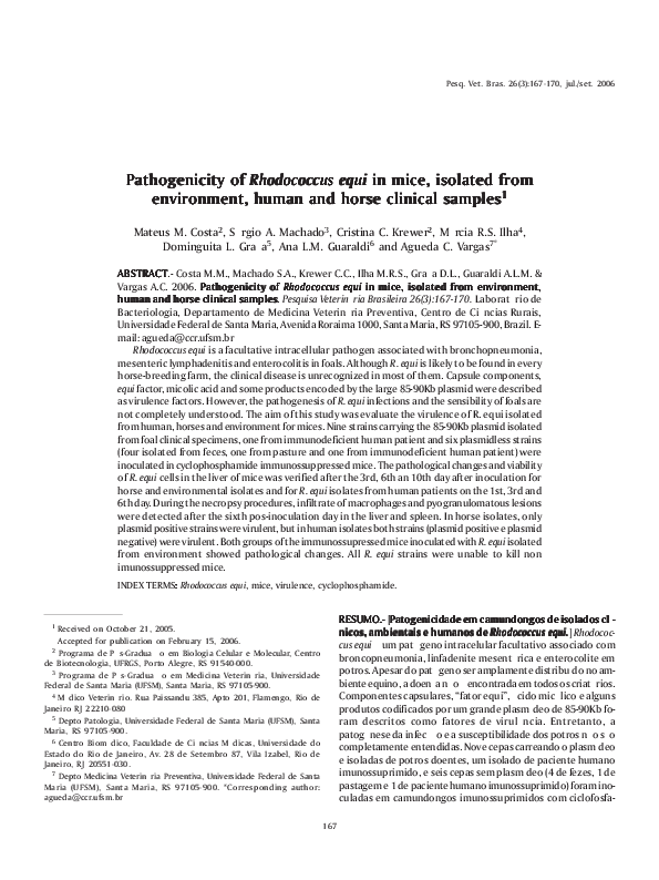 (PDF) Pathogenicity of Rhodococcus equi in mice, isolated from ...