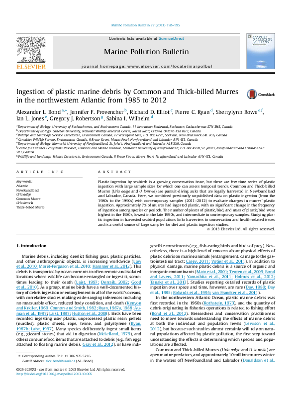 Marine litter examples image