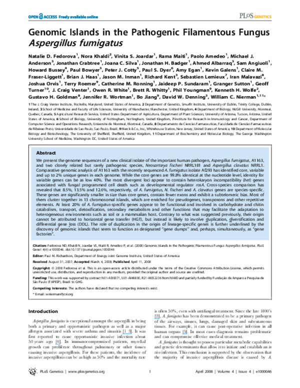 Kenneth nierman essay 07 picture