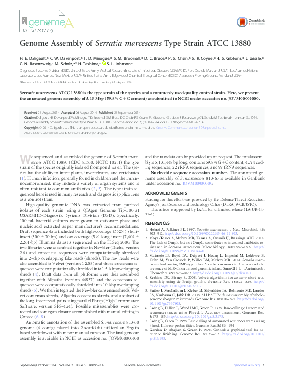 Serratia marcescens and urinary tract infections picture