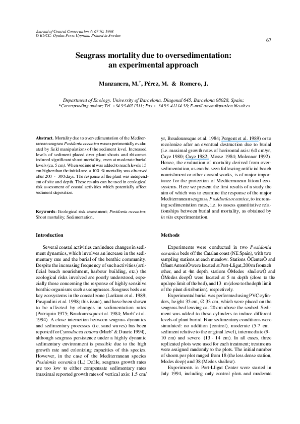 Why is seagrass disappearing image