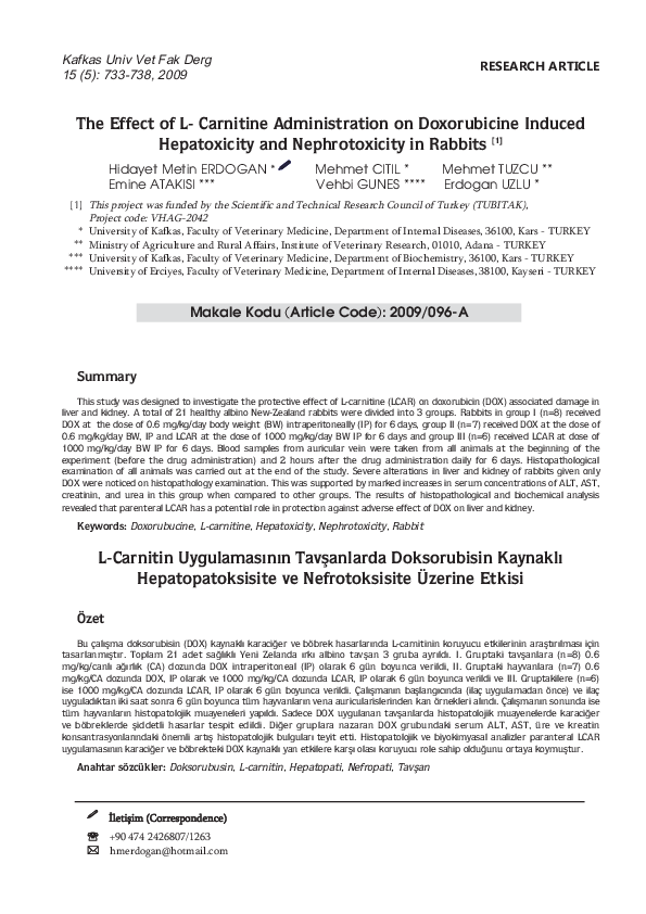 Nephrotoxicity essay image