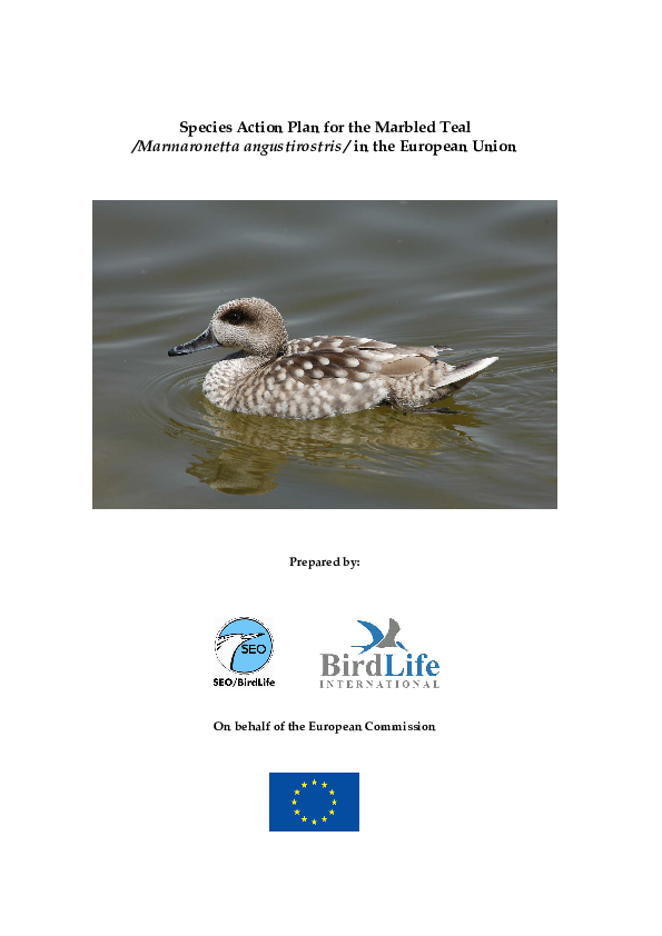 pdf-species-action-plan-for-the-marble-teal-marmaronetta