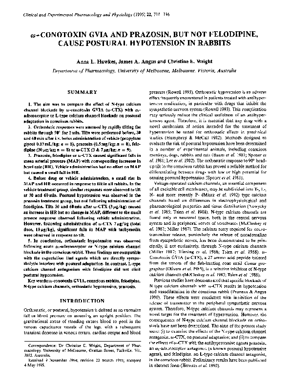 James angus essay 04 image